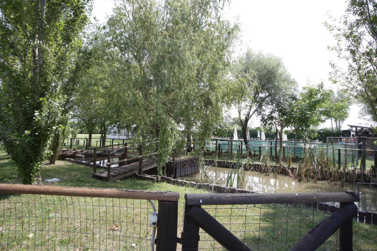 Agriturismo Casa Carpanelli Nonantola 外观 照片